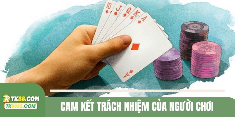 Cam kết của người dùng dựa trên nguyên tắc chơi có trách nhiệm 
